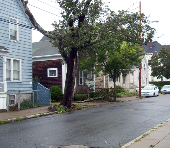 Downed Tree Branch Oak St Hurricane Irene - August 28, 2011